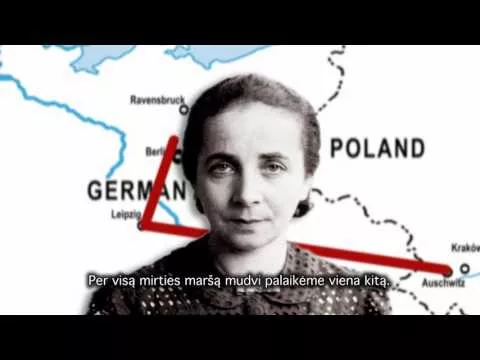 Preview image for the video "Silberring".