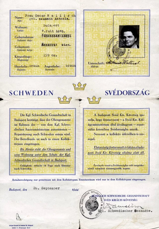 Schwedischer Schutzpass von Antonia Wallisch