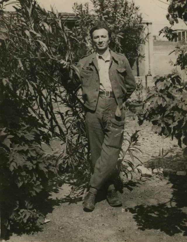 David Anavi