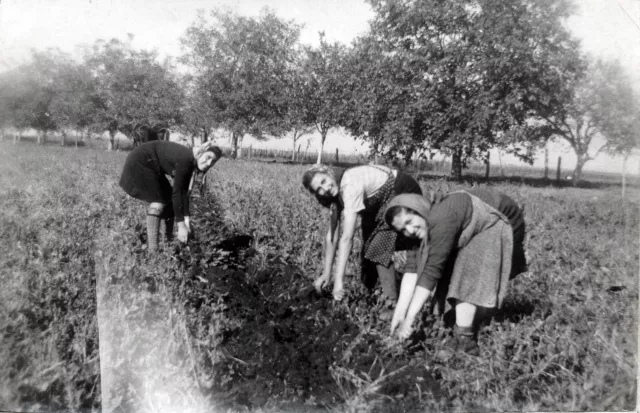 Lea Beraha during the internment to Shumen