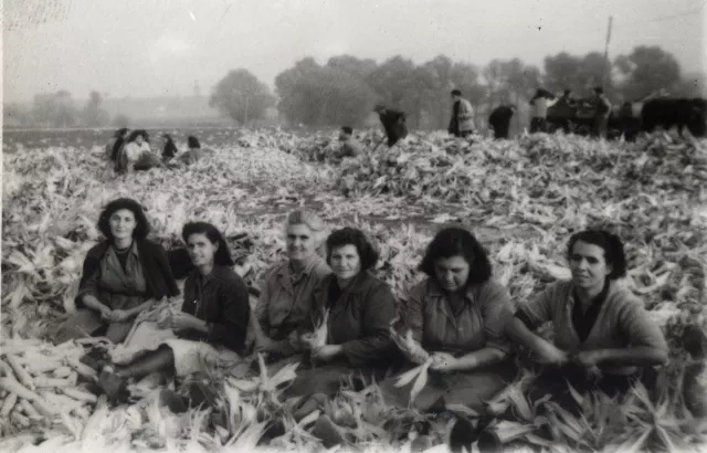 Roza Anzhel in a farming brigade