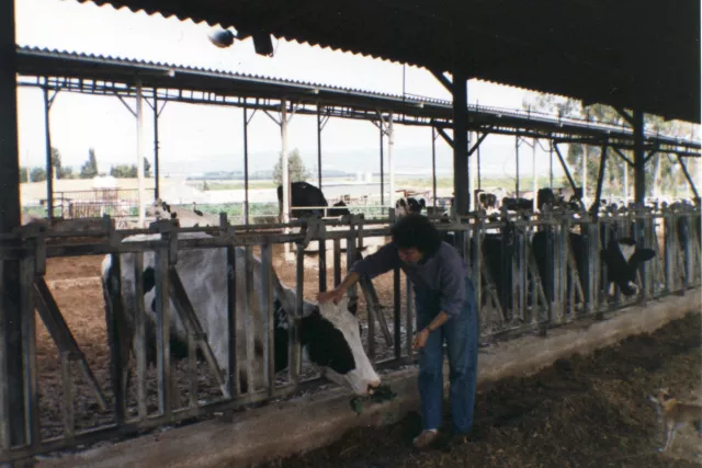 Magdalena Seborova at a kibbutz