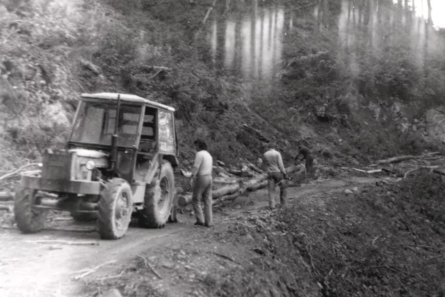 The mountain where Bernard Gubitsch is buried