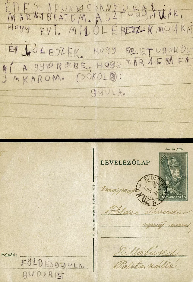 Gyula Foldes' first piece of writing