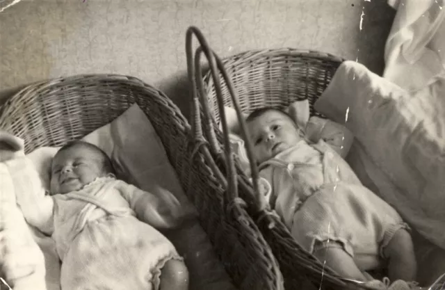 Váradi Richárdné ikrei