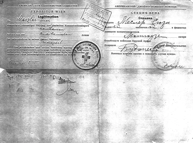 Zsuzsa Maszler 'Expositur Wien' certificate