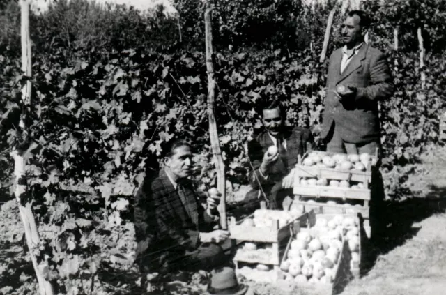 Gavriel Levi's relatives