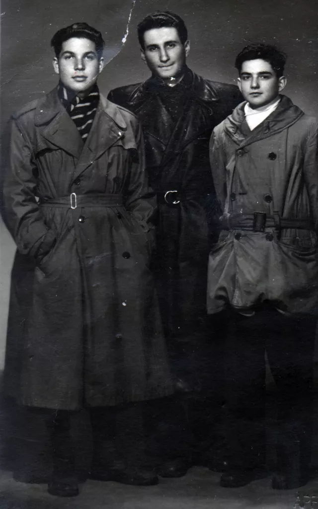 Three Steiner brothers Three Steiner brothers