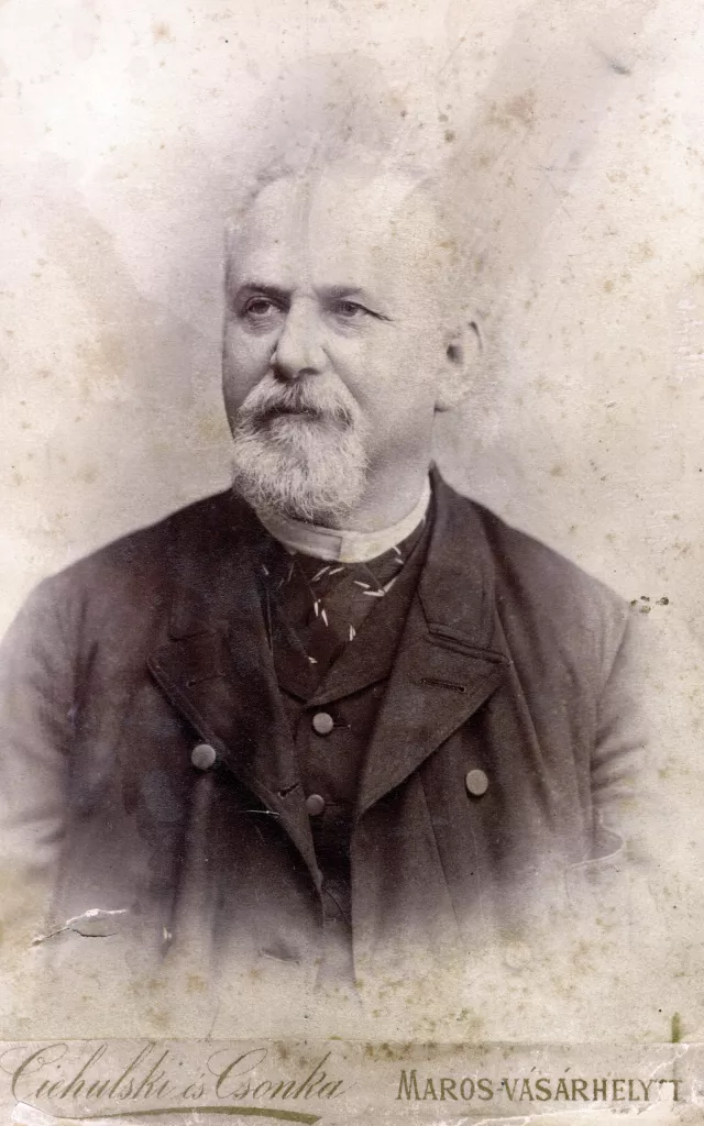 Mihaly Mestitz