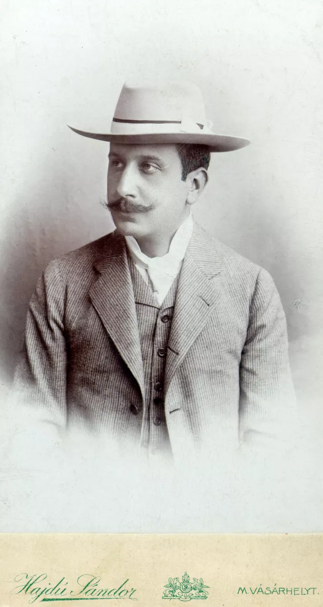 Henrik Mestitz