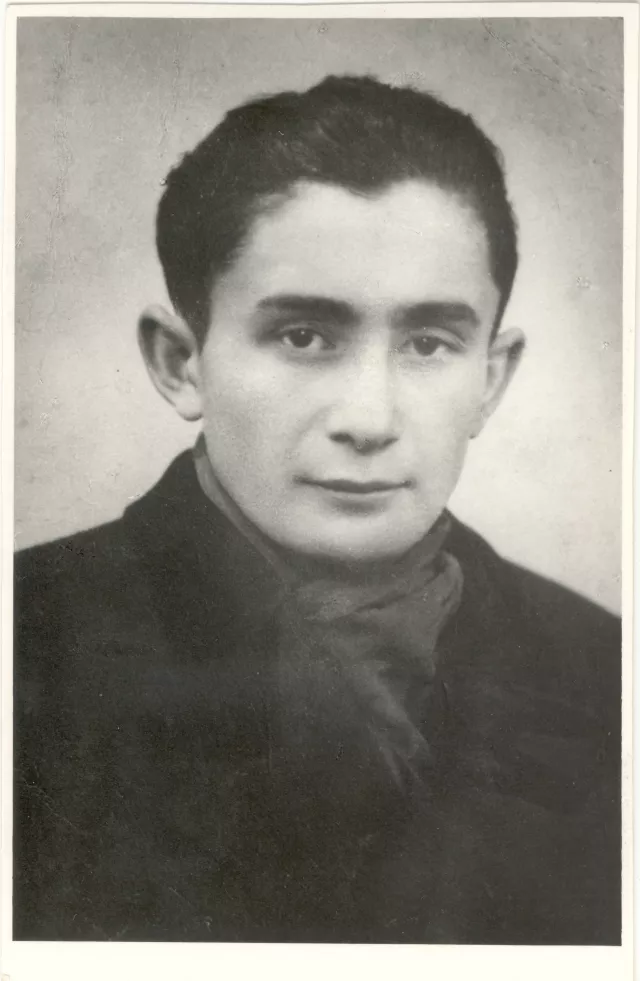 Davidovits Sámuel, Csernovits Sámuel bátyja