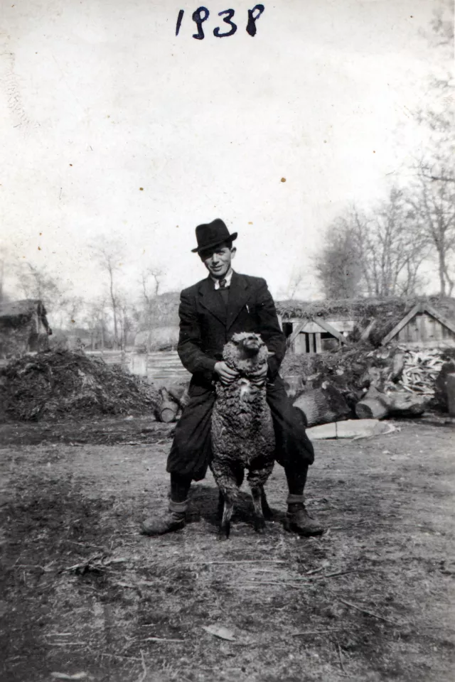 Feldmár Sándor birkán ül Feldmár Sándor birkán ül