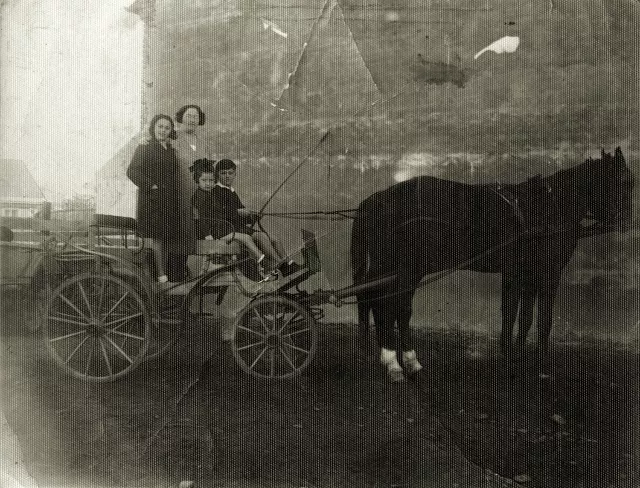 Sylvia Segenreichs Ausflugswagen Sandläufer