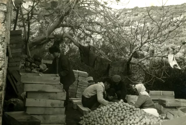 Güler Orgun at the Mersincik farm in Datca