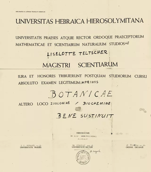 Liselotte Teltscherova's university certificate
