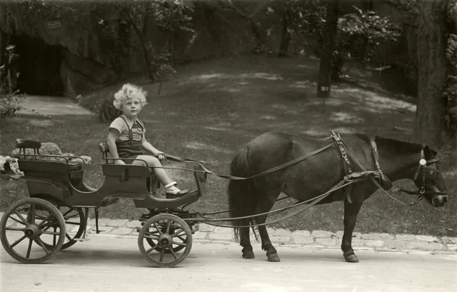 Surán Gábor az állatkertben