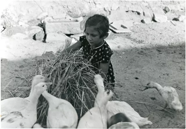 Haskó Györgyike nyaraláskor