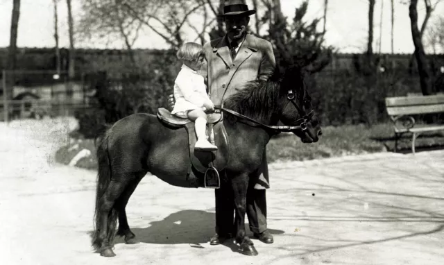 Kárpáti József és Kárpáti György Kárpáti József és Kárpáti György