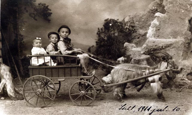 Pal and Erno Friedmann with their cousin, the mother of Ferenc Pap Pal and Erno Friedmann with their cousin, the mother of Ferenc Pap