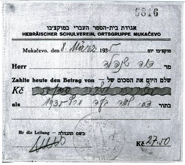 Dávid Schönfeld számlája