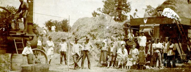 Harvest on the farm of Magdalena Berger's father-, and mother-in-law, the Bergers